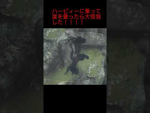 【ドラゴンズドグマ2】ハーピィーに乗って崖を登ったら大怪我した！！#ドラゴンズドグマ2#DragonsDogma2#ゲーム実況#1周年#オープンワールド#DD2#RPG#shorts#王道ファンタジー