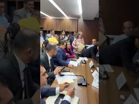 DIPUTADA KARINA PAZ Comisión de Economía Citación con la Ministra de Economía GUATEMALA