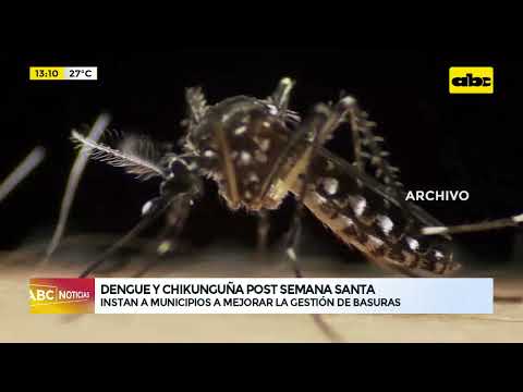 Ministerio de salud: Dengue y Chikungunya post semana santa