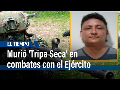 En combates con Ejército, murió 'Tripa Seca', del clan del Golfo, primo de 'Otoniel' | El Tiempo