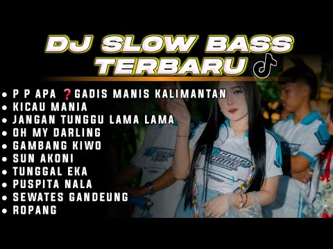DJ SLOW BASS SPECIAL LAGU KARNAVAL VIRAL TIKTOK BASS HOREG 2026 • PE PE APA ❓ • TUNGGAL EKA