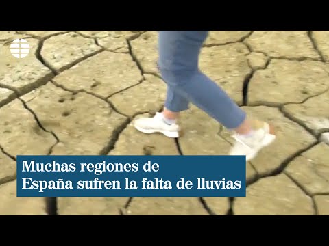 Diversas regiones de España sufren la falta de lluvias