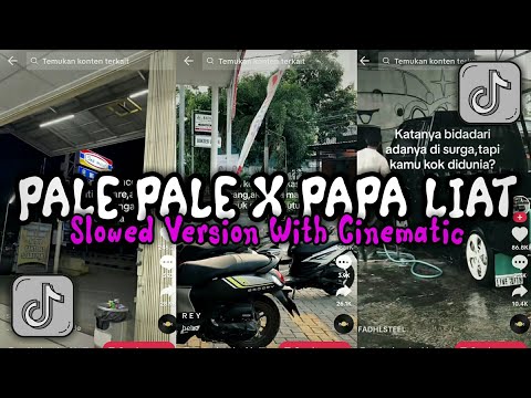 DJ PAPA LIAT X PALE PALE X DIGI BAM BAM X EMANG ENAK SLOWED + REVERB VIRAL TIKTOK