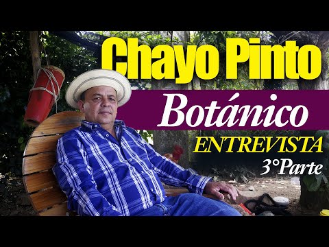 ENTREVISTA A BOTANICO CHAYO PINTO - TERCERA PARTE (3/4)