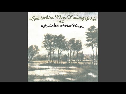 Schlaf wohl, du Himmelsknabe