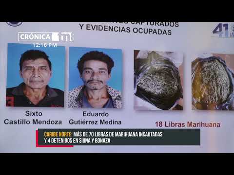 Caen varios sujetos por tráfico de marihuana en Siuna y Bonanza - Nicaragua