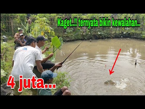 Untung saya bawa senar gede‼️kalo ngga,nangis saya....