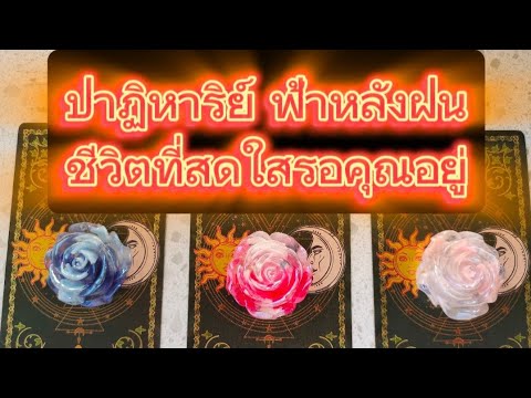 ปาฏิหาริย์ชีวิตฟ้าหลังฝนความส