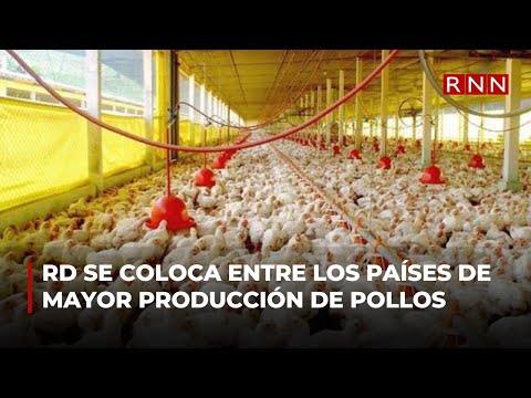 RD se coloca entre los países de mayor producción de pollos