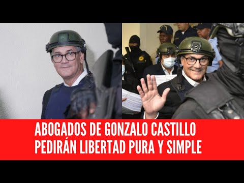 ABOGADOS DE GONZALO CASTILLO PEDIRÁN LIBERTAD PURA Y SIMPLE