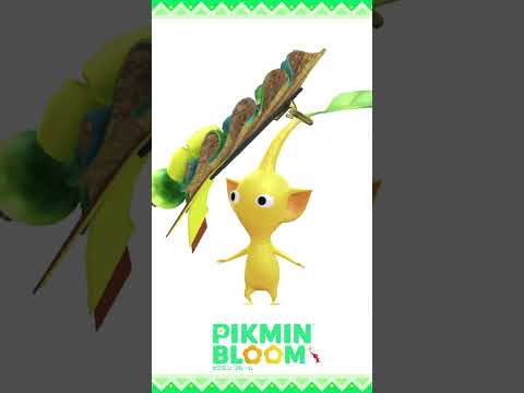 【ピクミンブルーム】「黄色のロゼット」デコピクミン モーション比較 #pikminbloom #ピクミン #黄色のロゼットデコピクミン #黄色のロゼットピクミン #shorts