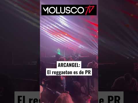 Arcangel manda  en su concierto a los que hablan de el reggaeton #moluscotv #molusco #shorts