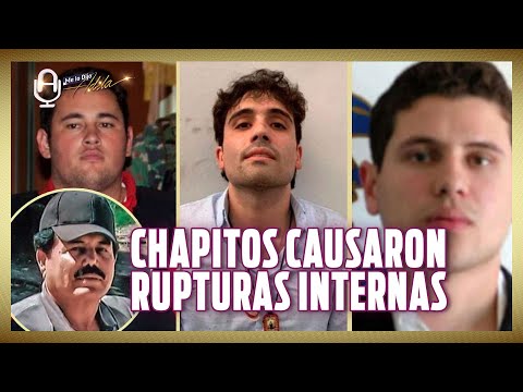 CHAPITOS quisieron estar ENCIMA del MAYO ZAMBADA y FRAGMENTARON al CÁRTEL DE SINALOA: José Reveles