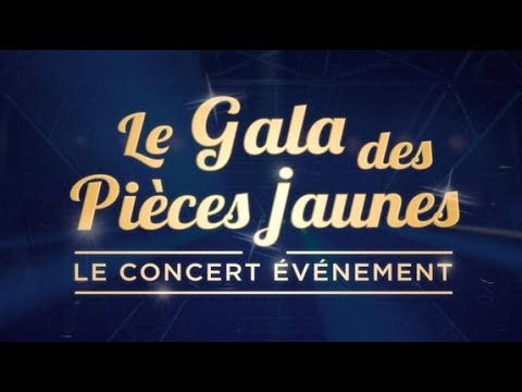 Gala des Pièces jaunes : plusieurs stars planétaires parmi les invités du concert 2024 !