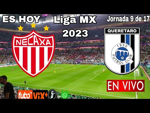 Necaxa vs. Querétaro en vivo, donde ver, a que hora juega Necaxa vs. Querétaro Liga MX 2023