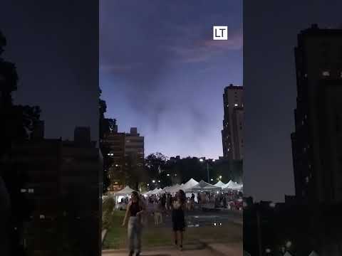 Inmensa nube de mosquitos impulsa fumigaciones masivas en Buenos Aires