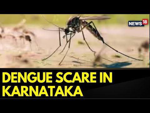Karnataka Dengue Cases | As The Monsoon Intensifies, Karnataka Has Witnessed A Spike In Dengue