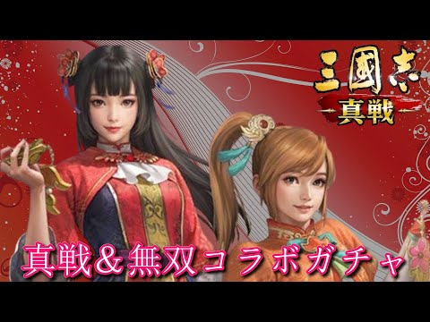 【三國志真戦 × 無双コラボガチャ】小喬が私の為に頑張っちゃう！って応援してくれたんだがら引くしかないよなぁ！！