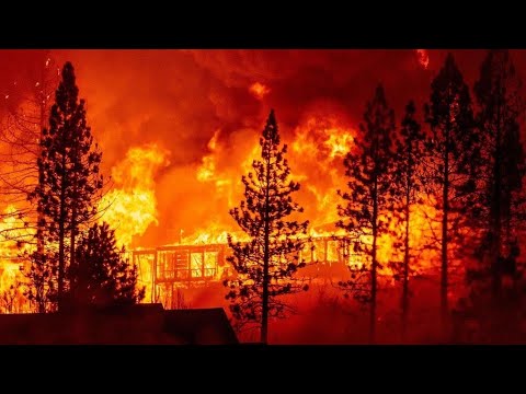 Des incendies meurtriers ravagent la côte ouest américaine