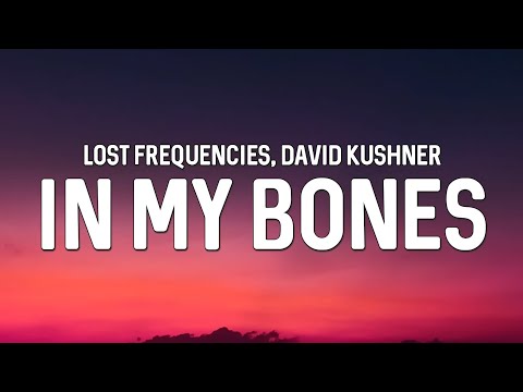 Lost Frequencies & David Kushner - In My Bones (Lyrics)