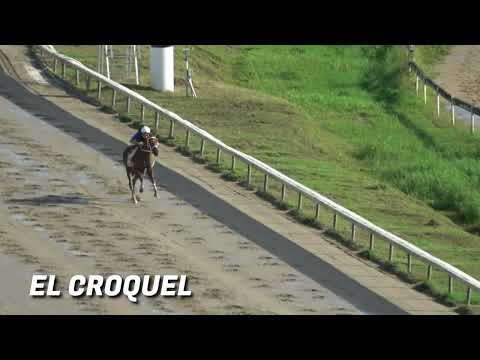 Steven Peña habla sobre EL CROQUEL - Clásico Puerto Rico Futurity