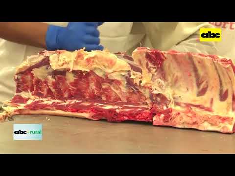 Taiwán es el segundo mercado de la carne bovina paraguaya