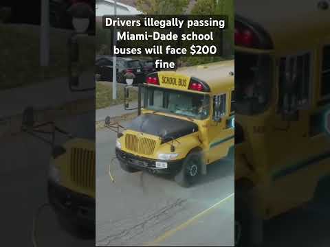 Drivers illegally passing Miami-Dade school buses will face $200 fine #miamidade #crime