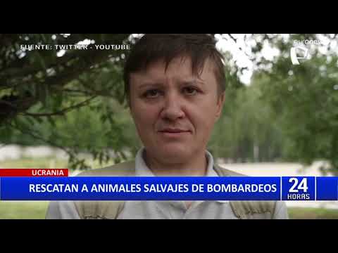 Ucrania: Rescatan animales salvajes que fueron abandonados en zoológicos por ataques rusos