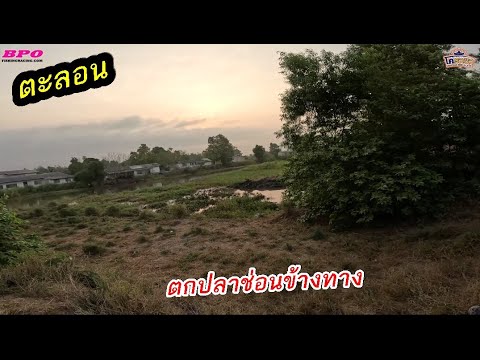 ลุยเดี่ยว..ตะลอนตกปลาช่อนข้างท