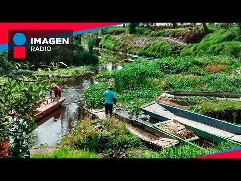 La importancia de proteger y visibilizar las chinampas: Marcha de Chinamperos