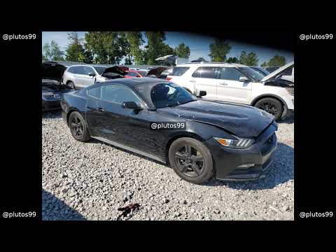 1FA6P8AM1H5306036 2017 FORD ALL Models | FRONT END