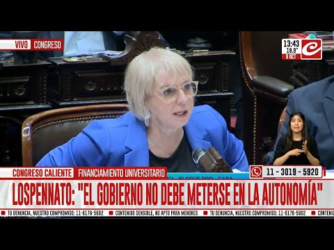 Guidici: Con el kirchnerismo, la Argentina se hizo más bruta