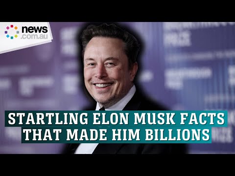 How many companies does Elon Musk actually own?
