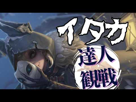 イタカ #22 S41 達人観戦 Night Watch 朝ラン #identityV #第五人格
