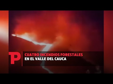 Cuatro incendios forestales en el Valle del Cauca | 09.09.2023 | TP Noticias