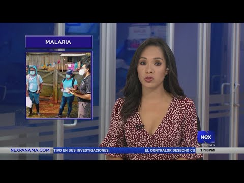 Minsa no descarta declarar alerta roja ante aumento de casos de malaria