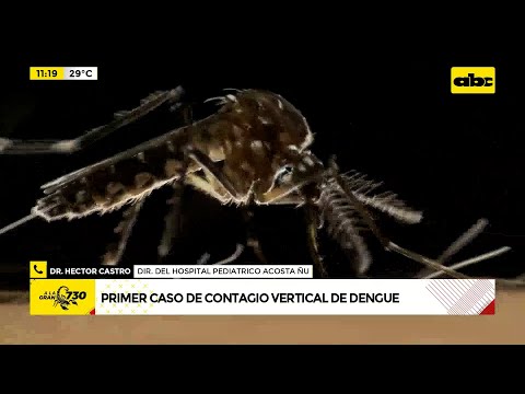 Primer caso de contagio vertical de dengue