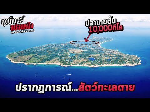 ปรากฏการณ์ปลาเกยตื้นบนเกาะ10,