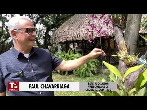 El Orquideorama de Cali: Un verdadero museo vivo