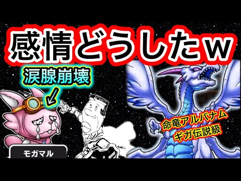 【星ドラ】⚠️放送事故⚠️命竜アルバナムを討伐してたら謎の感情が込み上げてきて、ボコられたw【アナゴ マスオ 声真似】