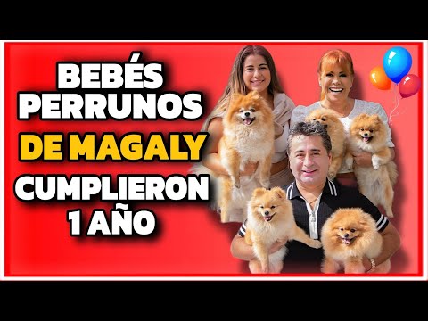 MAGALY MEDINA CELEBRÓ EL CUMPLEAÑOS DE SUS HIJOS PERRUNOS