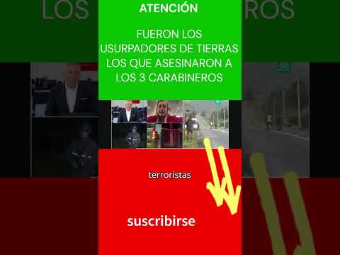 FUERON USURPADORES DE TIERRAS LOS QUE ASESINARON A 3 CARABINEROS EN LA ARAUCANÍA