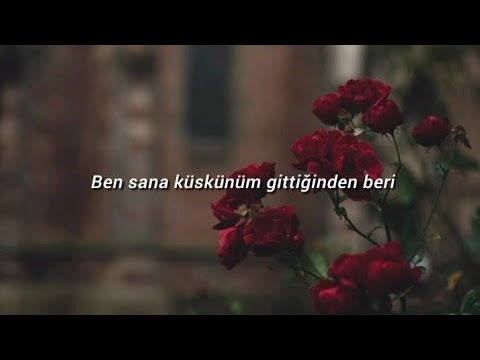 Bengü & Mustafa Ceceli // Kervan [Sözleri, Lyrics]