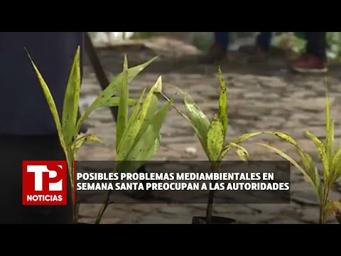 Posibles problemas mediambientales en Semana Santa preocupan a las autoridadesI23.03.2024ITPNoticias