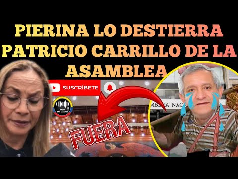 PIERINA CORREA LO DESHAUCIA CARRILLO NO VA PODER POSESIONARSE EN LA ASAMBLEA NACIONAL NOTICIAS RFE