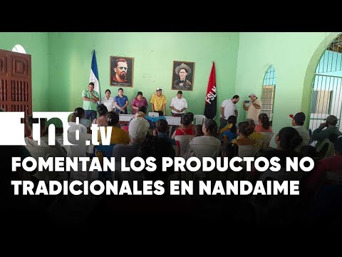Presentan plan de exportación de productos no tradicionales en Nandaime - Nicaragua