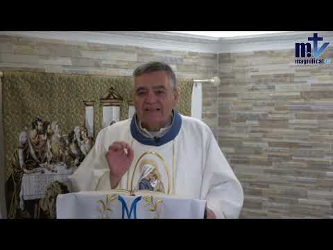 Apóyate en María |Fiesta de la Bienaventurada Virgen María del Pilar.12-10-24|P. Santiago Martín, FM