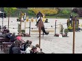 Show jumping horse Joint Venture