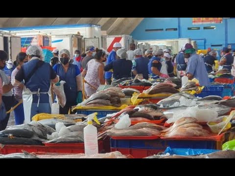 Terminal pesquero: ¿Subió el precio del pescado?