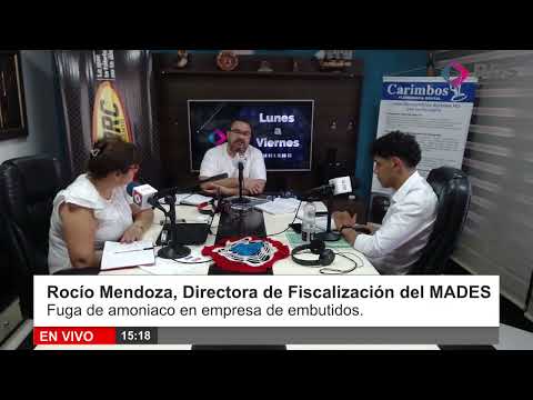 Rocío Mendoza, Directora de Fiscalización del MADES - Fuga de amoniaco en empresa de embutidos